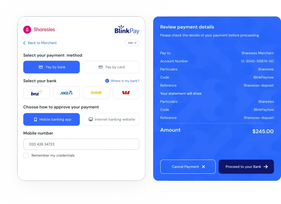 BlinkPay accepting payments dashboard interface showing payment methods and bank options